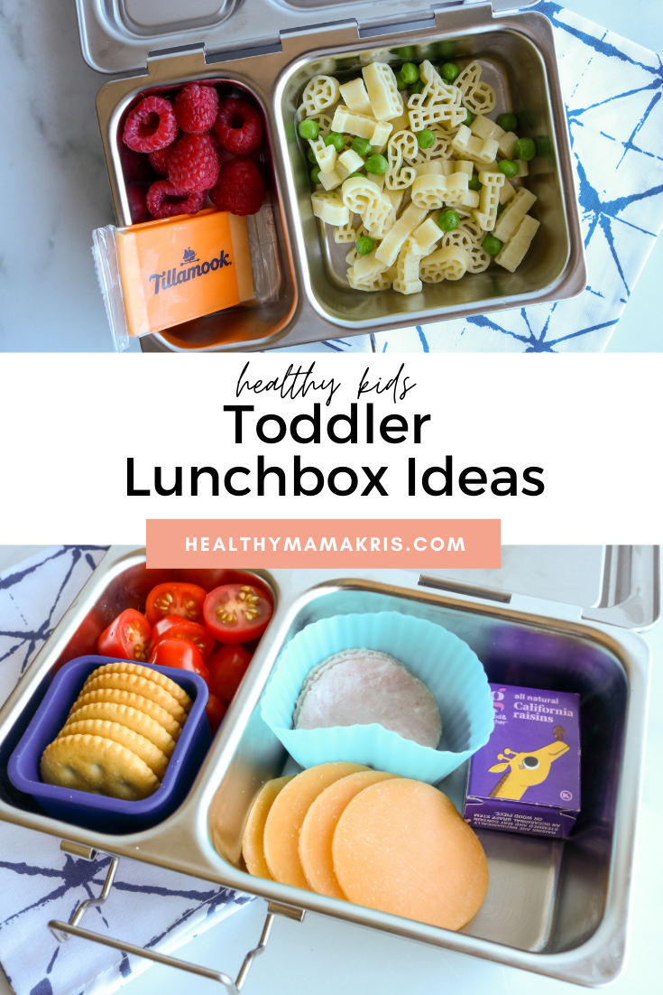 4 Easy Toddler Lunchbox Ideas - Healthy Mama Kris